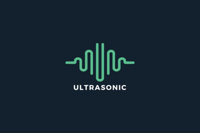 Ultrasonic