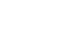 customcolor_logo_transparent_background